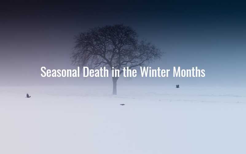 Seasonal Death in the Winter Months