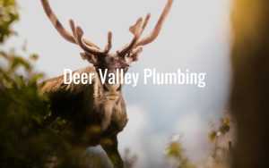 Deer Valley Plumbing