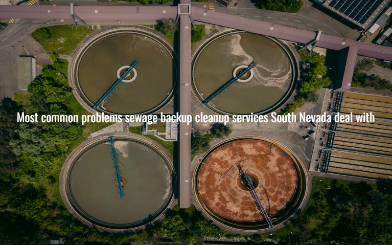 Most common problems sewage backup cleanup services South Nevada deal with