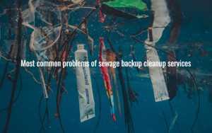 Most common problems of sewage backup cleanup services